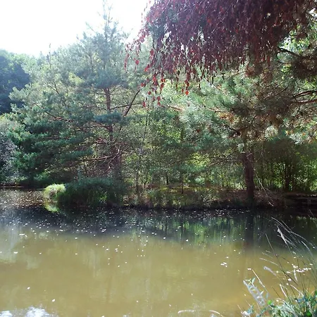 Le Castel 펜션 Roussines